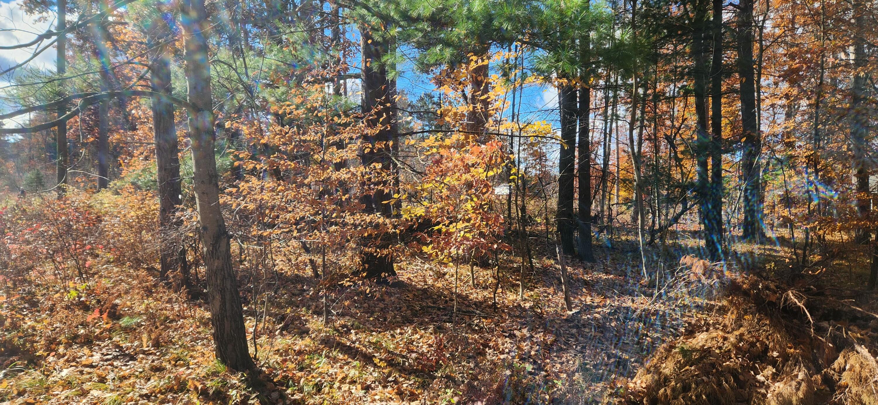 18160 Indian Village Road Big Rapids, MI 49307 - Photo 5 of 8 #5 Lot to water