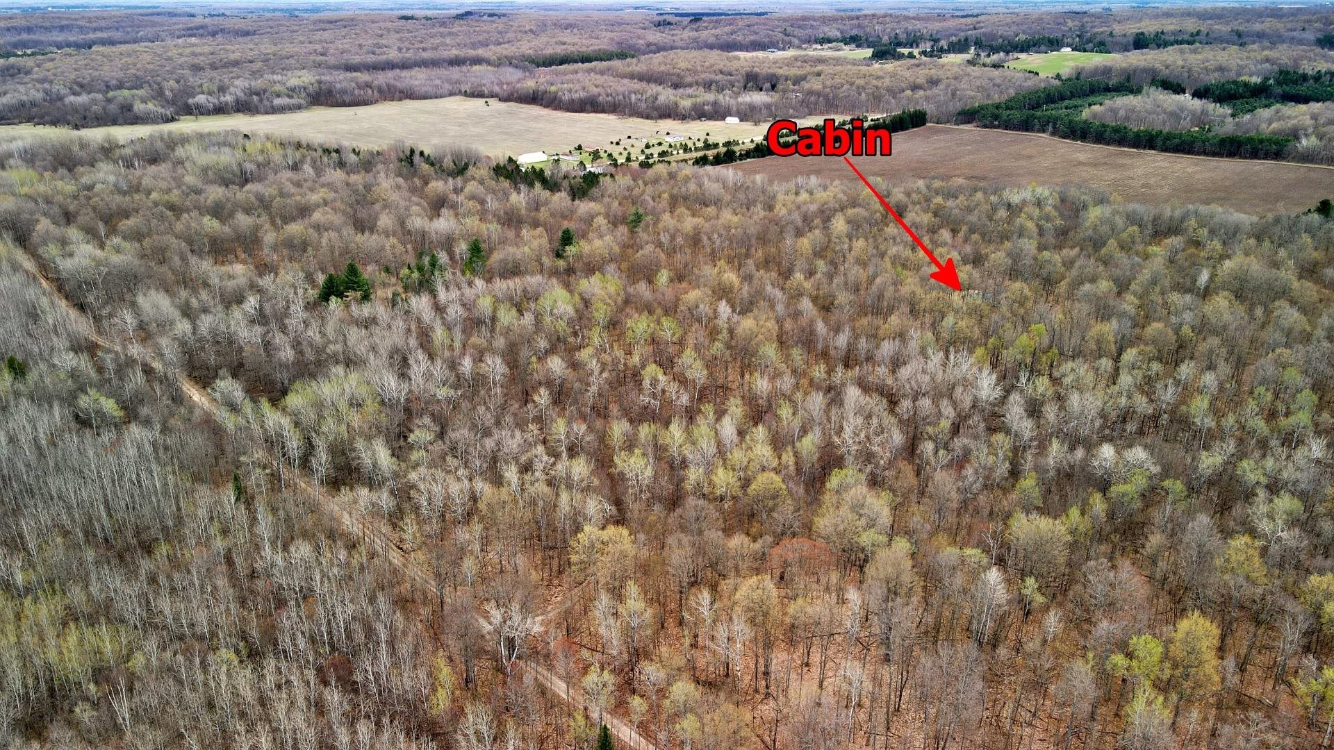 333 West Johnson Road Lake City, MI 49651 - Photo 5 of 31 1910293-4.JPG
