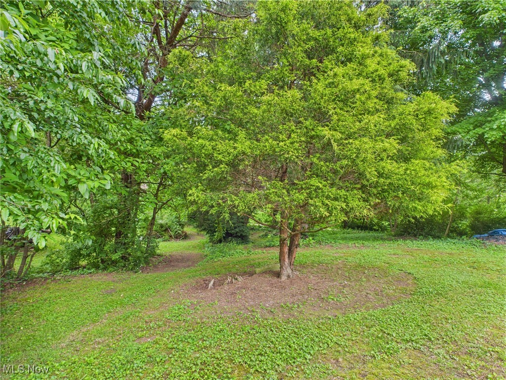 326 Highway 7 Powhatan Point, OH 43942 - Photo 25 of 32 View of yard