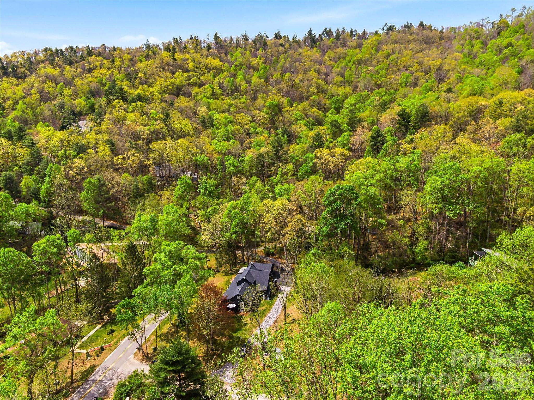 51 Mark Twain Road Asheville, NC 28805 - Photo 46 of 46 a view of a bunch of trees and bushes