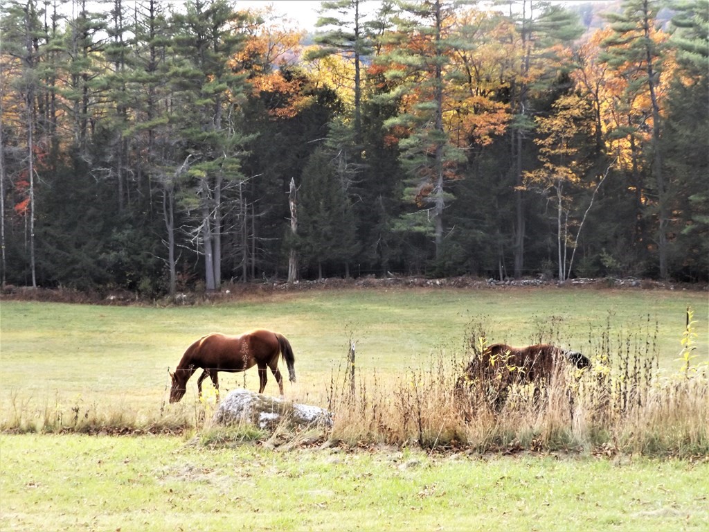 11 Falls Road Royalston, MA 01368 - Photo 1 of 16 Gallery Image 1