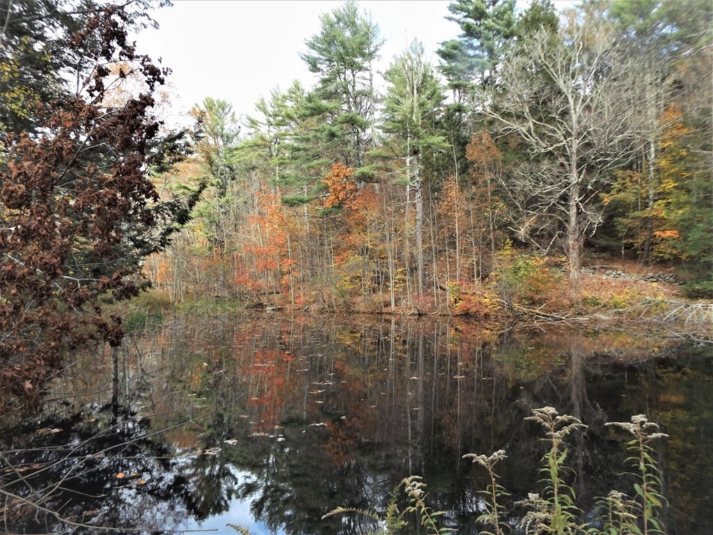 11 Falls Road Royalston, MA 01368 - Photo 5 of 16 Gallery Image 5