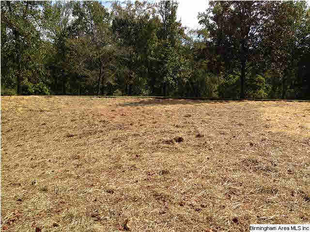 4830 Old Leeds Road, Unit LOT 59 Birmingham, AL 35213 - Photo 2 of 4