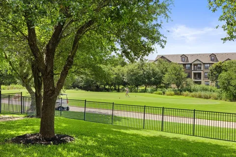 a view of a garden with a tree in the background