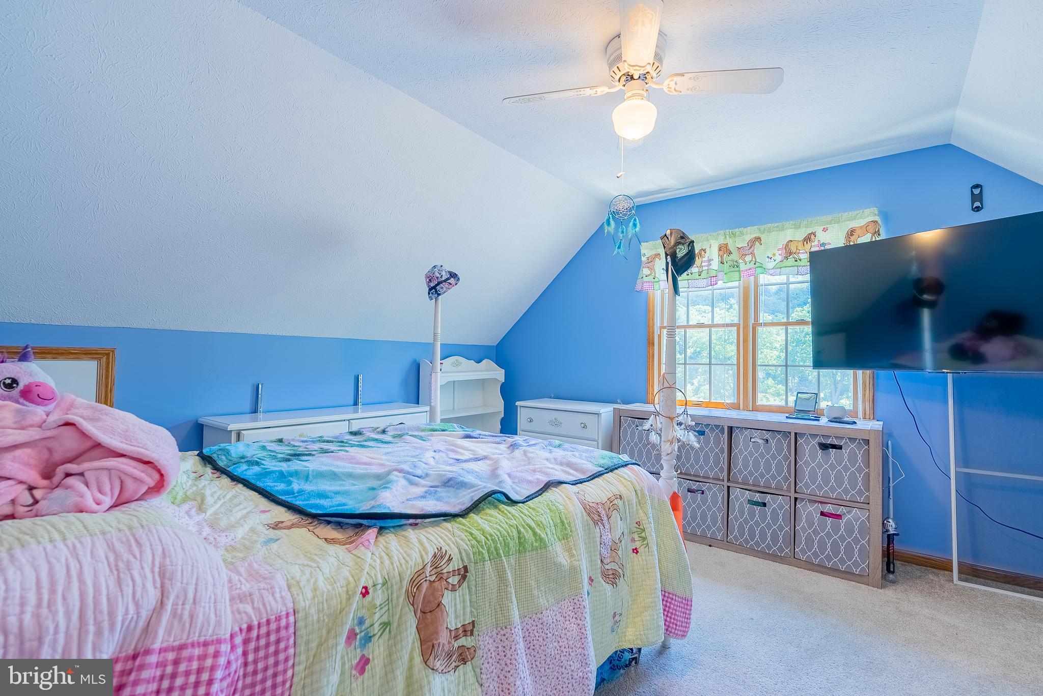 2084 Double Cribbs Road Burlington, WV 26710 - Photo 65 of 87
