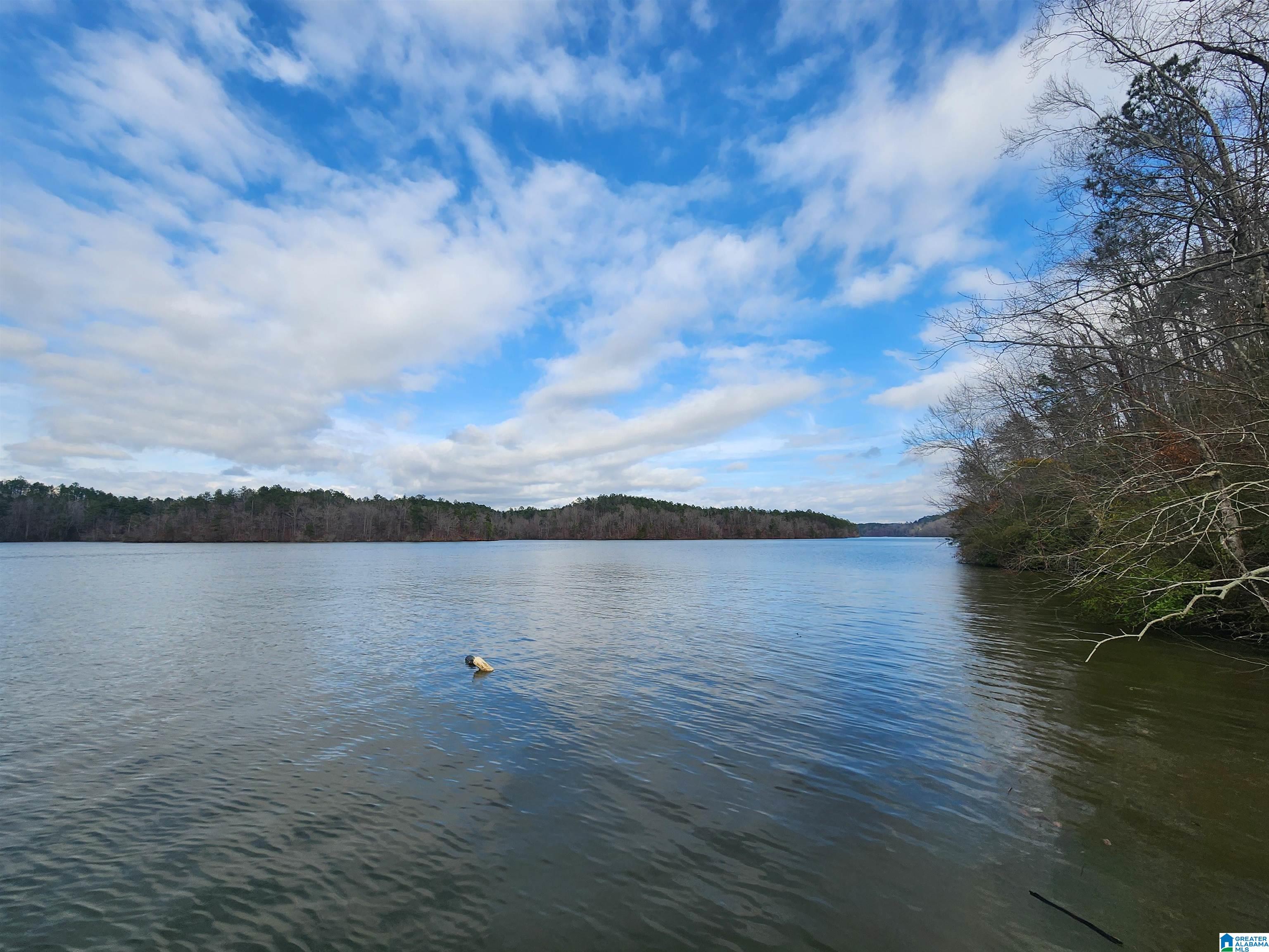 Lot 8 Eagle Point Road, Unit 1 Alexander City, AL 35010 - Photo 3 of 14