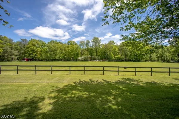 a view of a yard