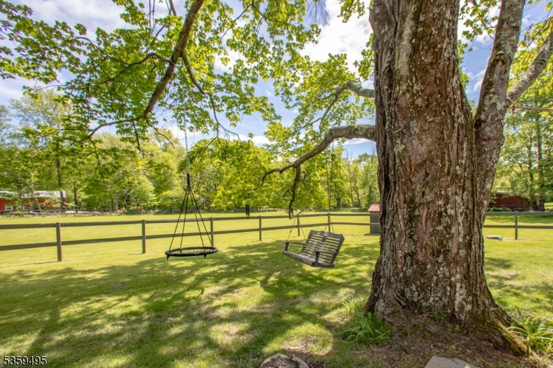 76 Glen Road Wantage, NJ 07461 - Photo 38 of 47 a view of a yard with a tree