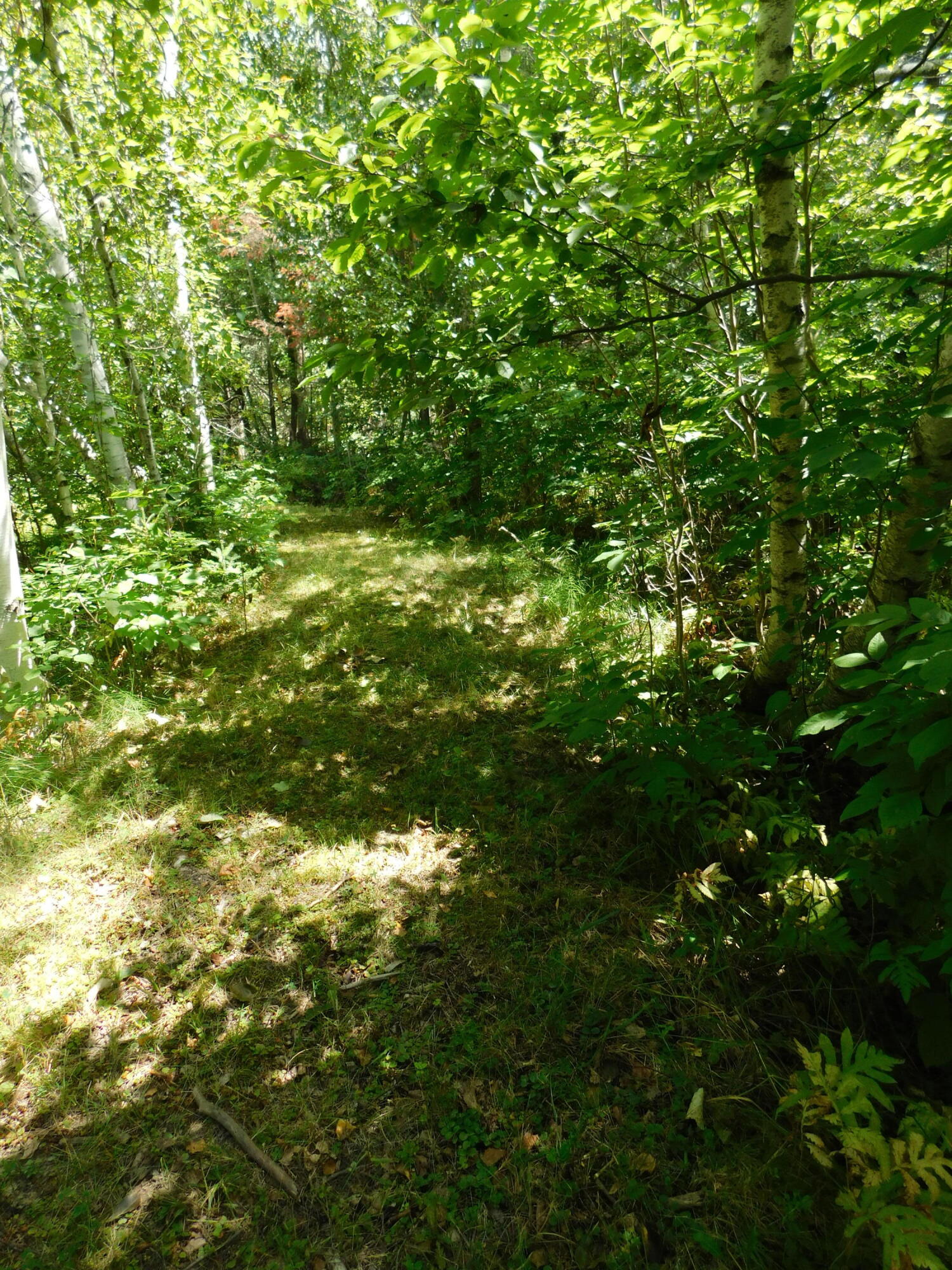 28 Worthen Road Corinna, ME 04928 - Photo 22 of 55 DSCN4901