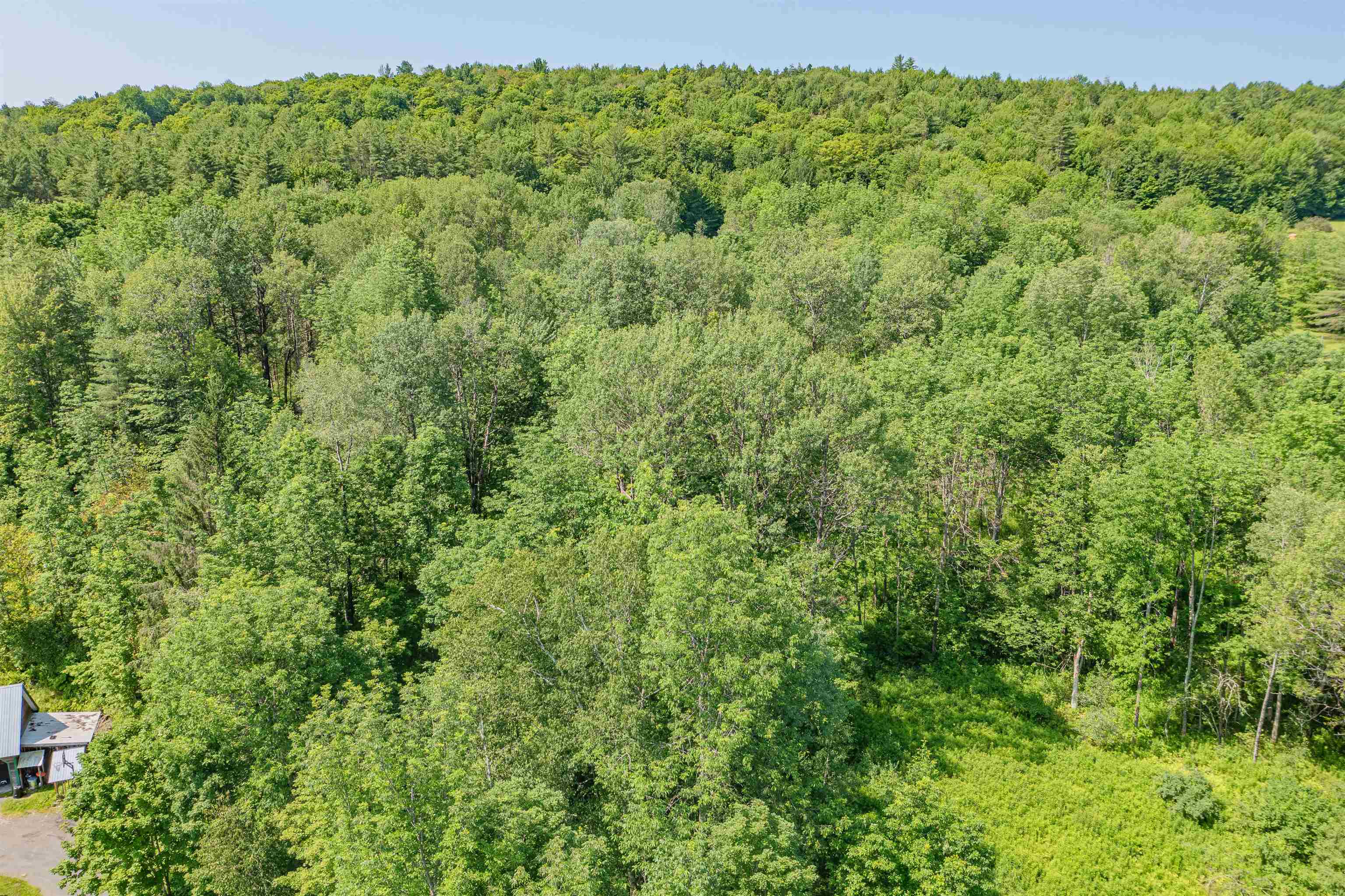 0 East Hill Road Middlesex, VT 05602 - Photo 4 of 10