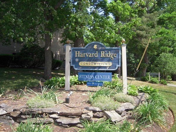 294 Swanson Road, Unit 208 Boxborough, MA 01719 - Photo 10 of 10
