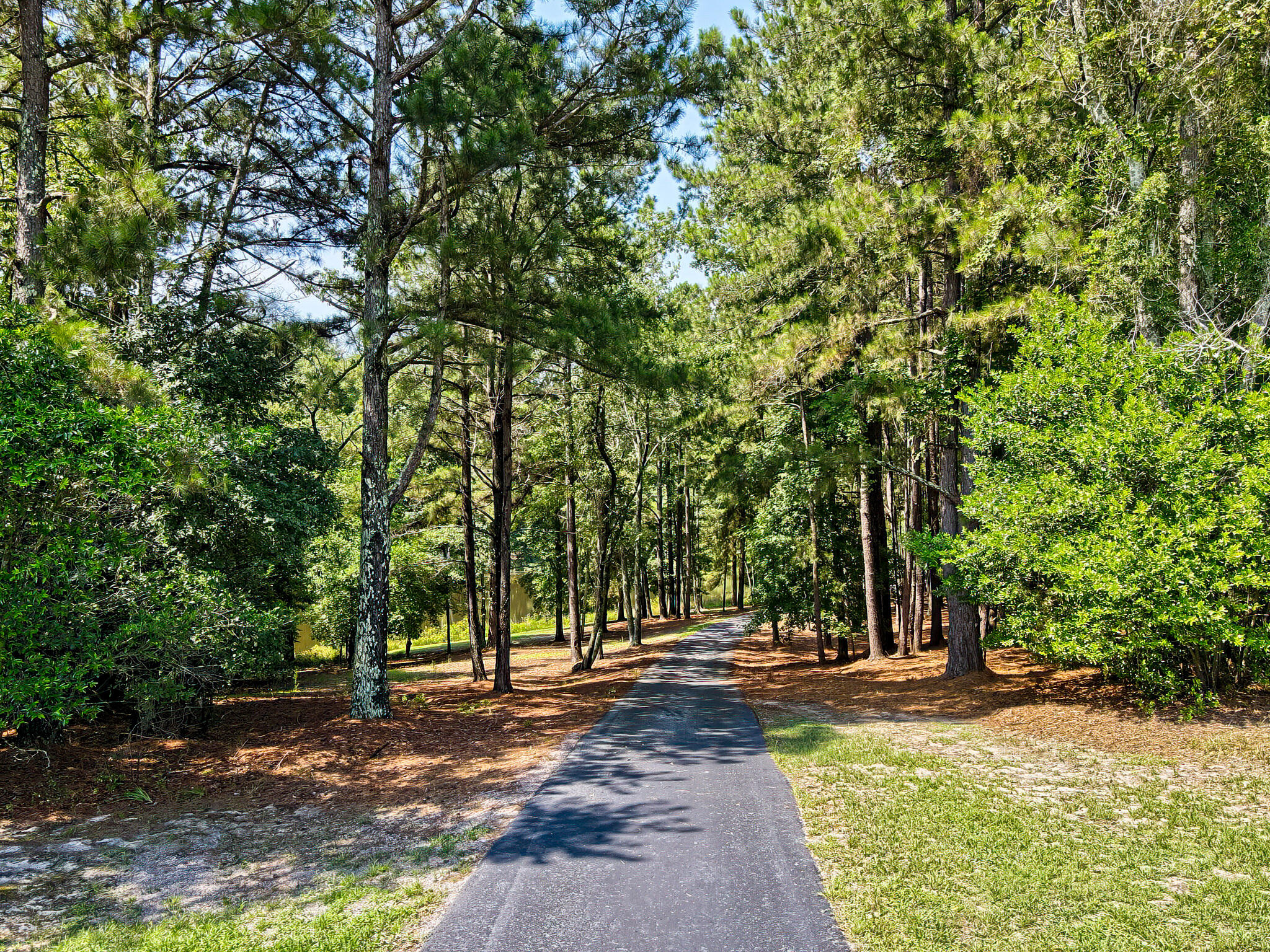 1290 Richardsons Lake Road Aiken, SC 29803 - Photo 39 of 101