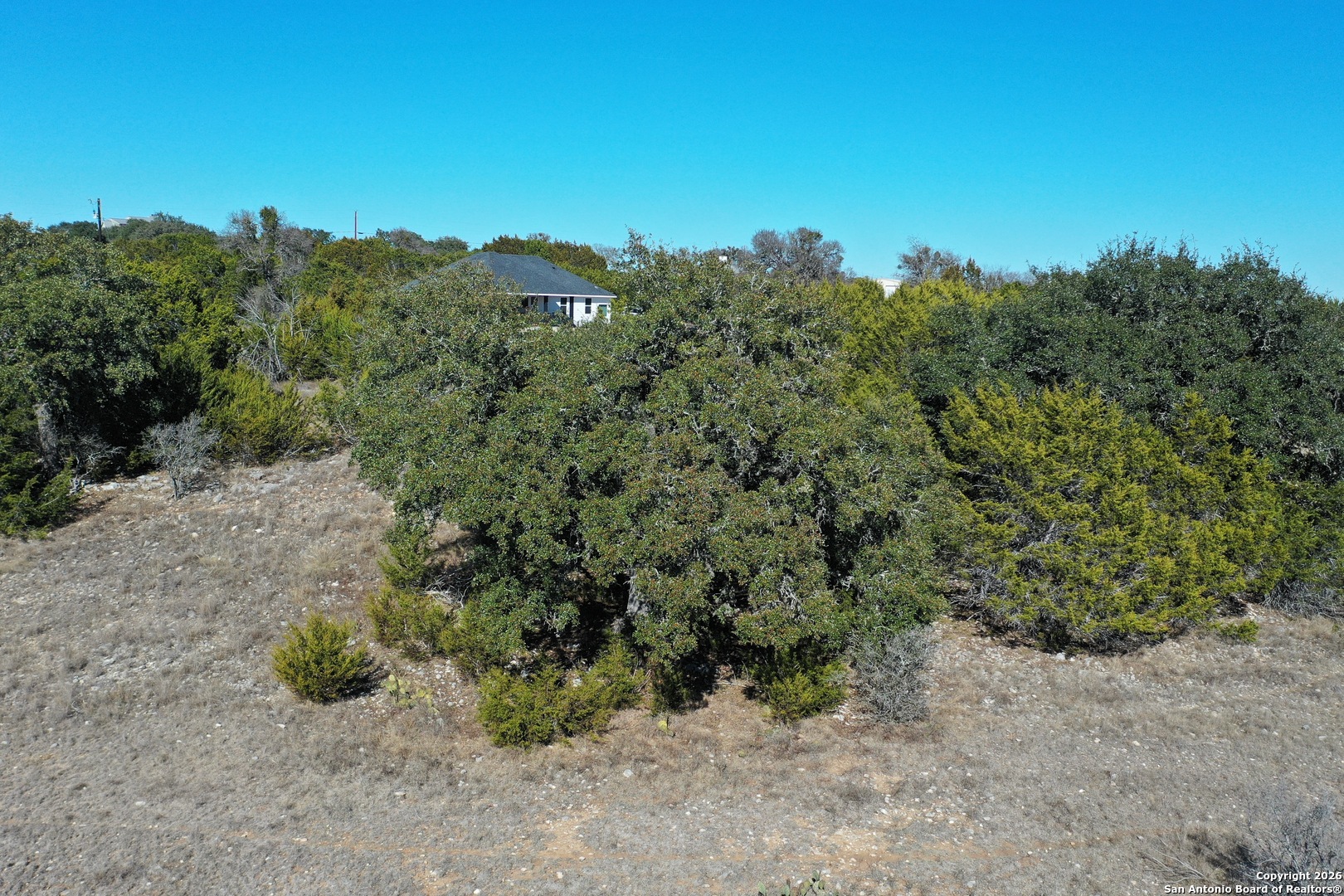 115 Spring Valley Cove Boerne, TX 78006 - Photo 11 of 16