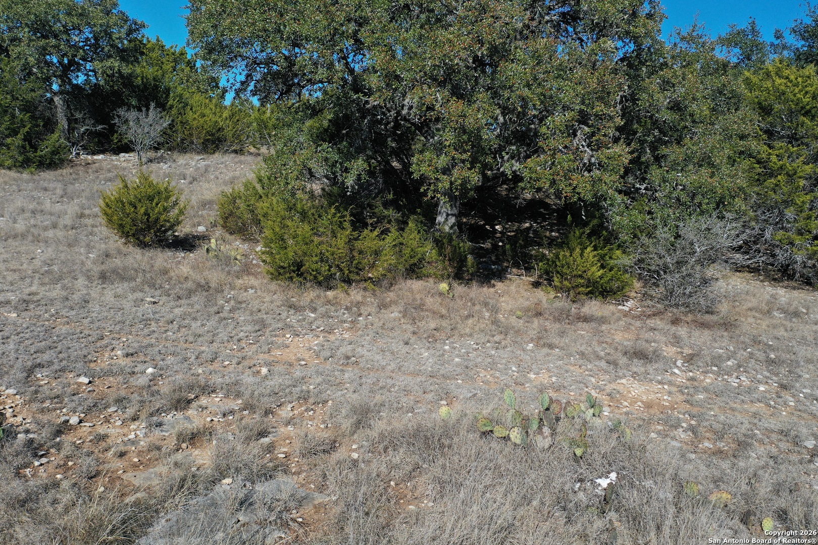 115 Spring Valley Cove Boerne, TX 78006 - Photo 12 of 16