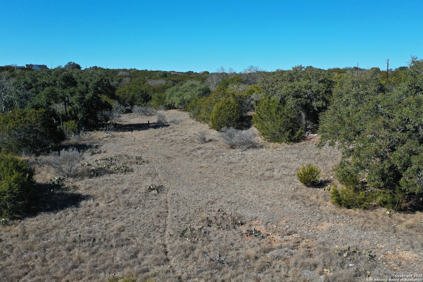 115 Spring Valley Cove Boerne, TX 78006 - Photo 13 of 16