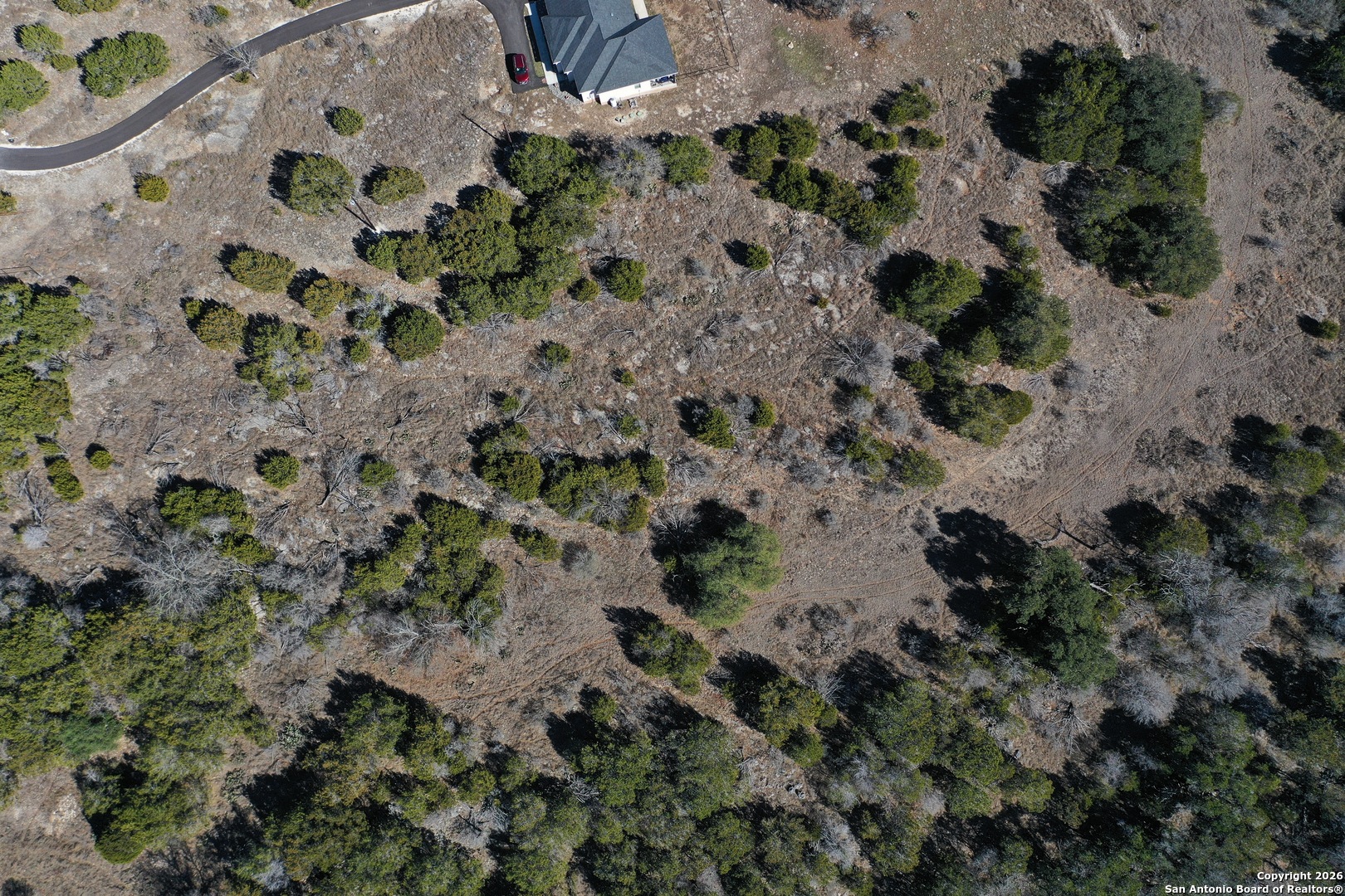 115 Spring Valley Cove Boerne, TX 78006 - Photo 6 of 16