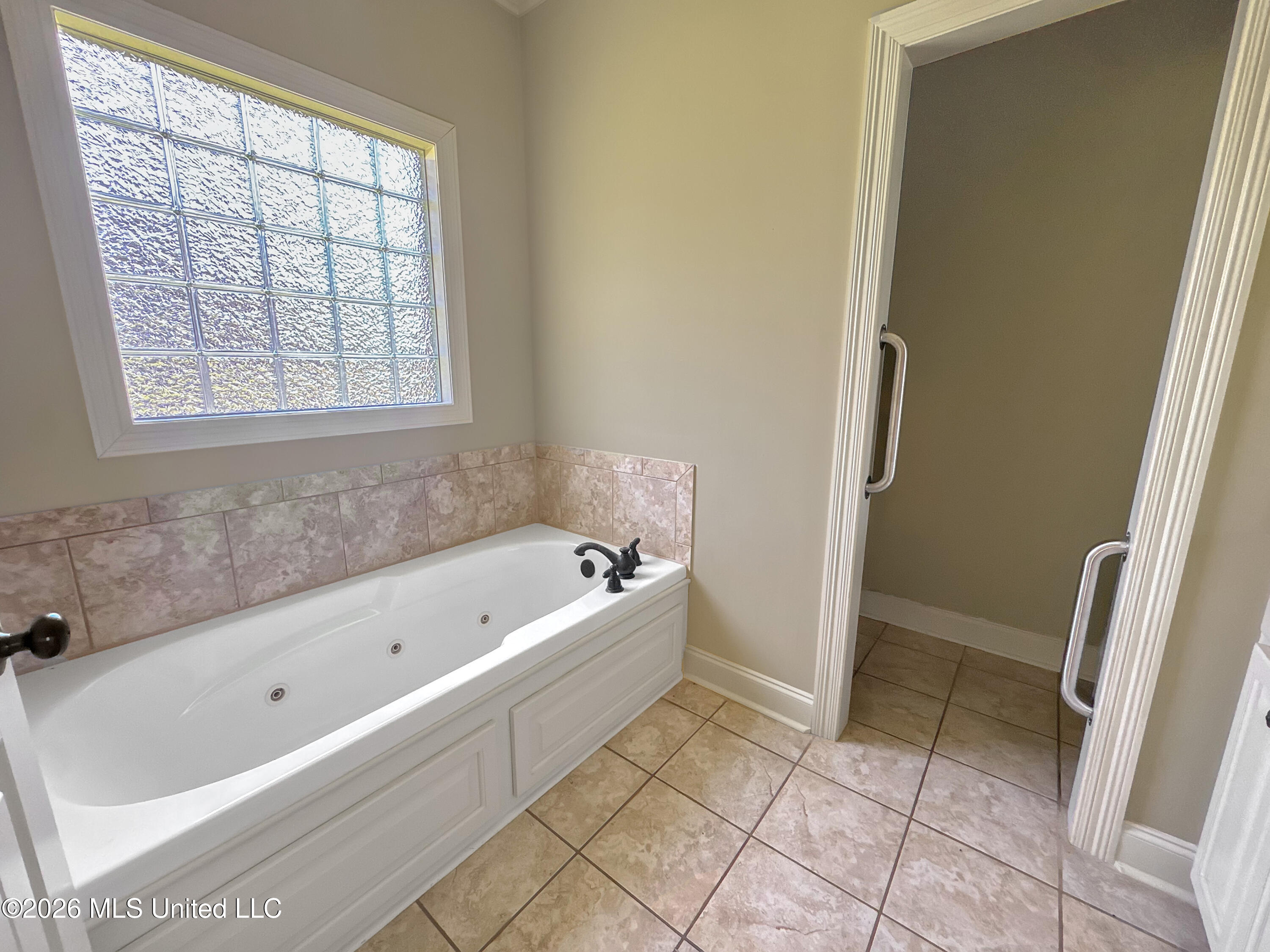 809 Windlass Cove Brandon, MS 39047 - Photo 14 of 23 Master bath