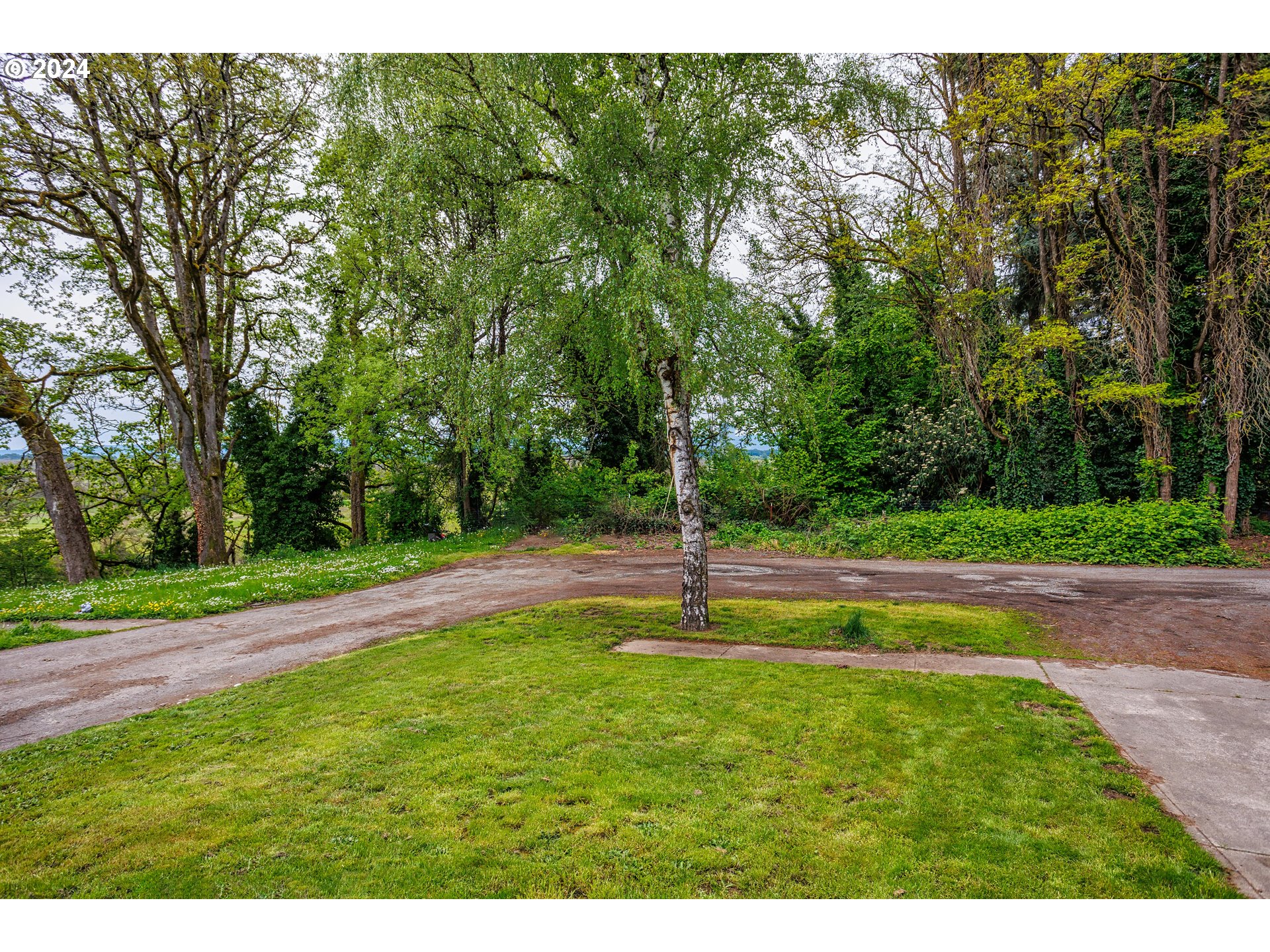 216 South 3rd Avenue Ridgefield, WA 98642 - Photo 4 of 21 a view of a park