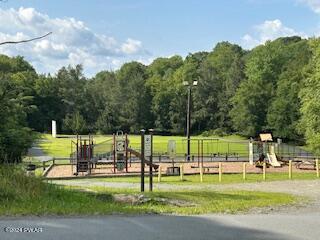 101 Rosewood Drive Greentown, PA 18426 - Photo 81 of 85 Tanglwood Park