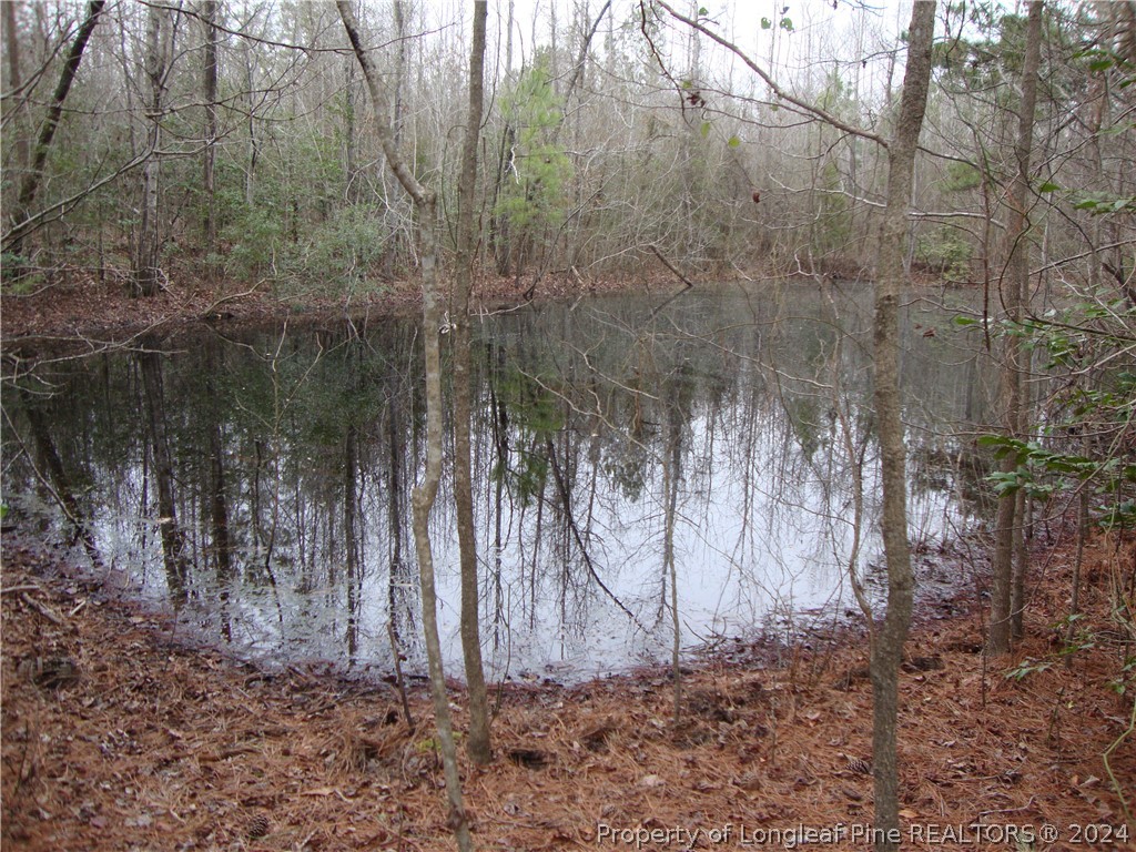 Lot 1 Hayes Rd Spring Lake Spring Lake, NC 28390 - Photo 13 of 13 Gallery Image 13