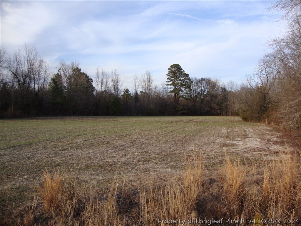 Lot 1 Hayes Rd Spring Lake Spring Lake, NC 28390 - Photo 3 of 13 Gallery Image 3