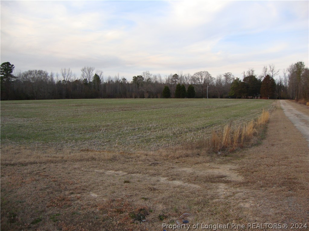 Lot 1 Hayes Rd Spring Lake Spring Lake, NC 28390 - Photo 5 of 13 Gallery Image 5