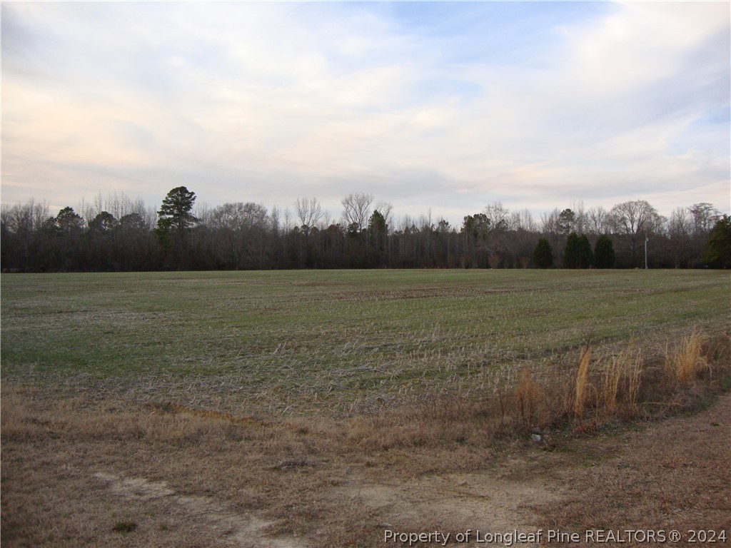 Lot 1 Hayes Rd Spring Lake Spring Lake, NC 28390 - Photo 6 of 13 Gallery Image 6