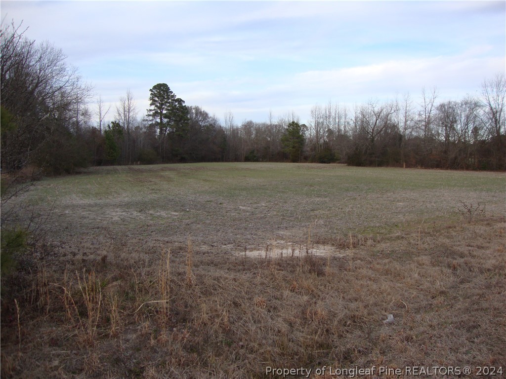 Lot 1 Hayes Rd Spring Lake Spring Lake, NC 28390 - Photo 10 of 13 Gallery Image 10