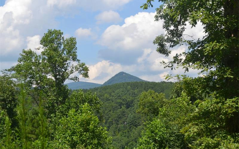 Lot 8 Cove Hill Road Jasper, GA 30143 - Photo 1 of 1 Main View