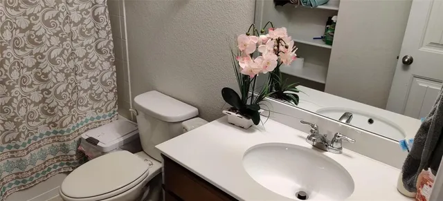 a bathroom with a sink mirror and toilet