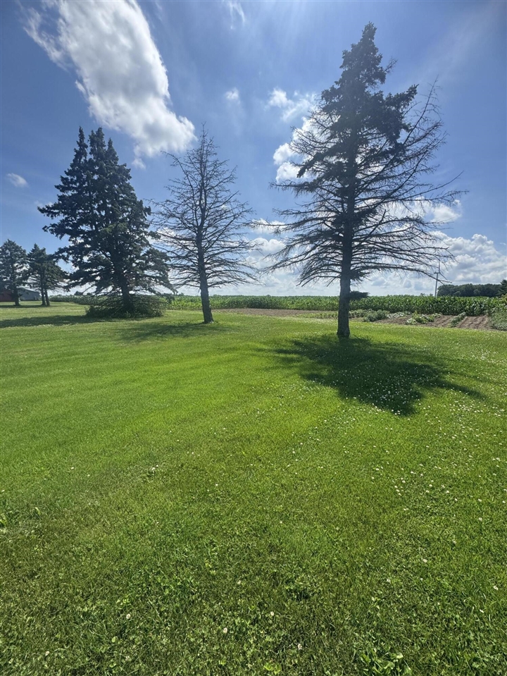 1247 North Steel Road Merrill, MI 48637 - Photo 35 of 40
