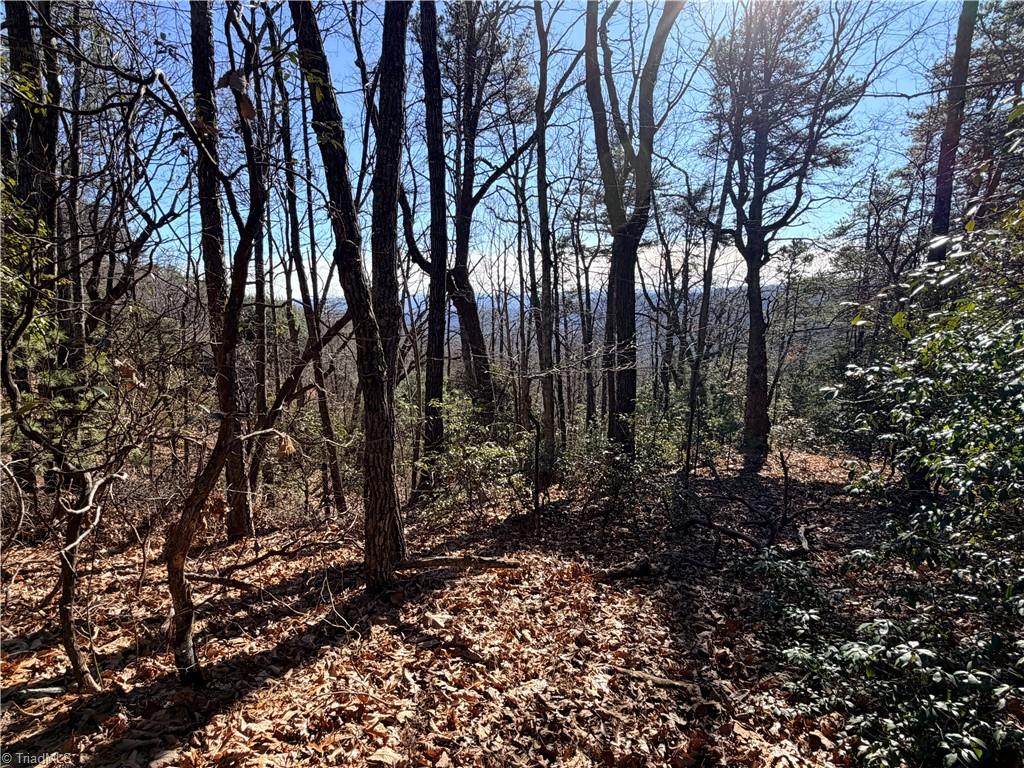 Lot 27 Bobcat Mountain Road Purlear, NC 28665 - Photo 9 of 38 Gallery Image 9