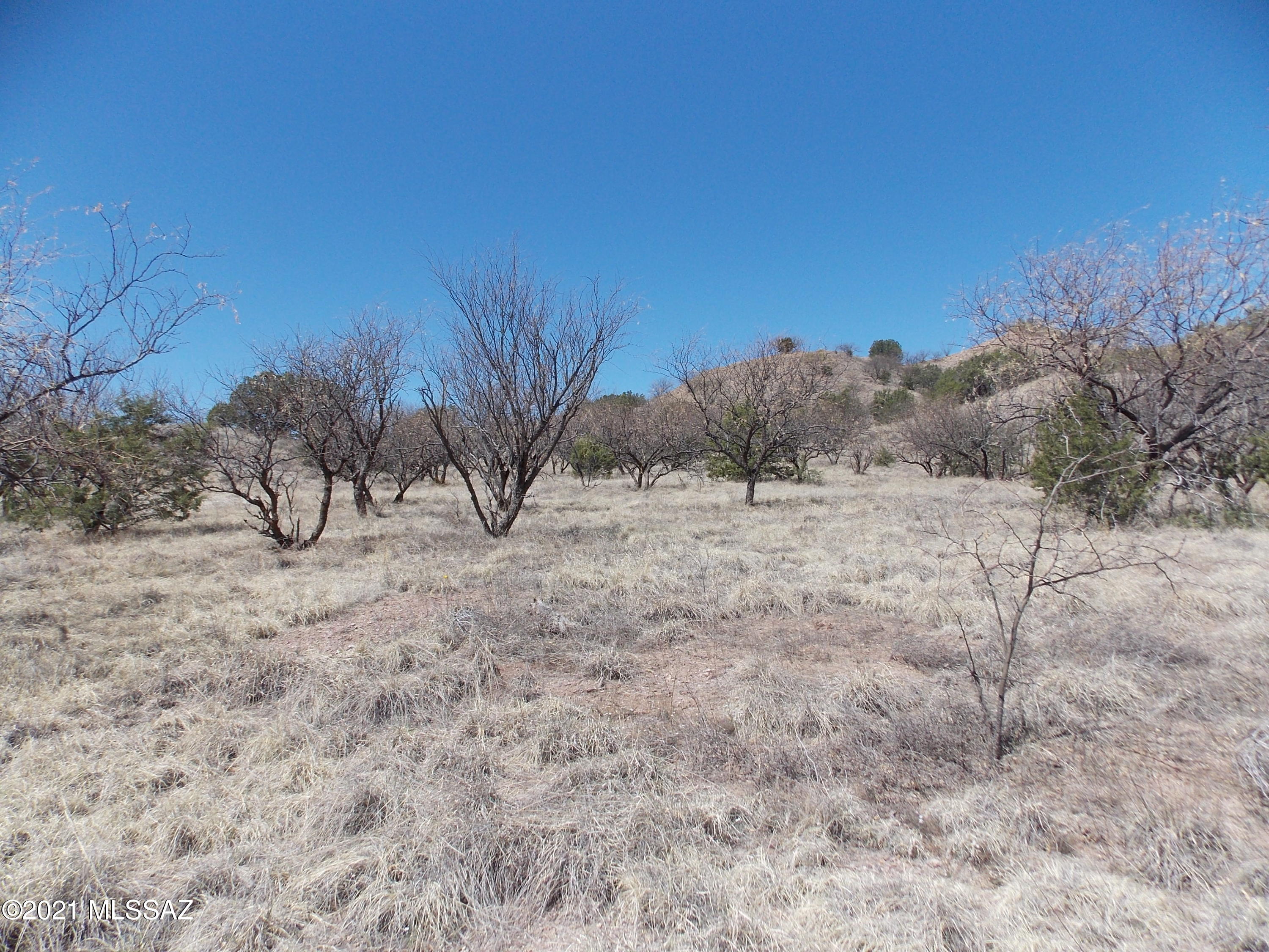 154 Tanglehead, Unit 44 Patagonia, AZ 85624 - Photo 9 of 15