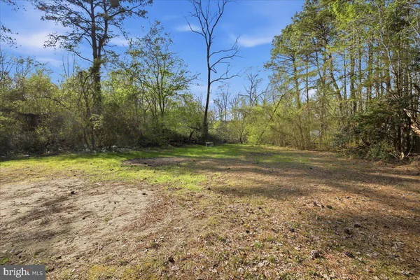 a view of a yard with trees