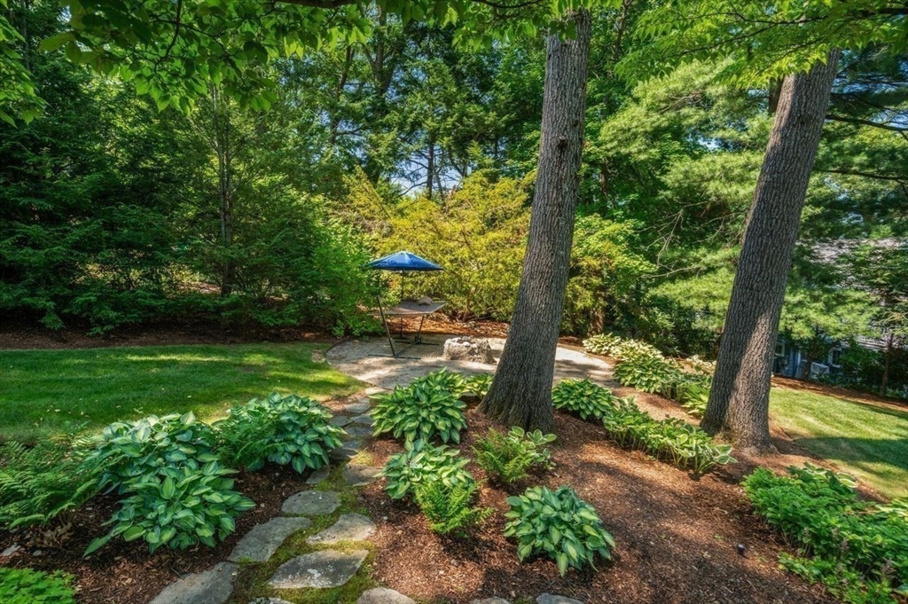 19 Druid Hill Road Newton, MA 02461 - Photo 32 of 35