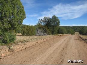 236 North Anvil Rock Road Seligman, AZ 86337 - Photo 1 of 9 Primary Photo