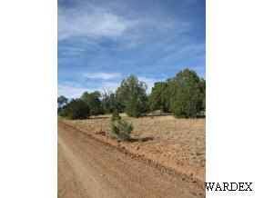236 North Anvil Rock Road Seligman, AZ 86337 - Photo 2 of 9 Additional Photo