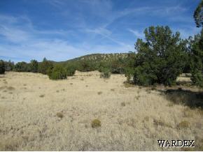 236 North Anvil Rock Road Seligman, AZ 86337 - Photo 4 of 9 Additional Photo