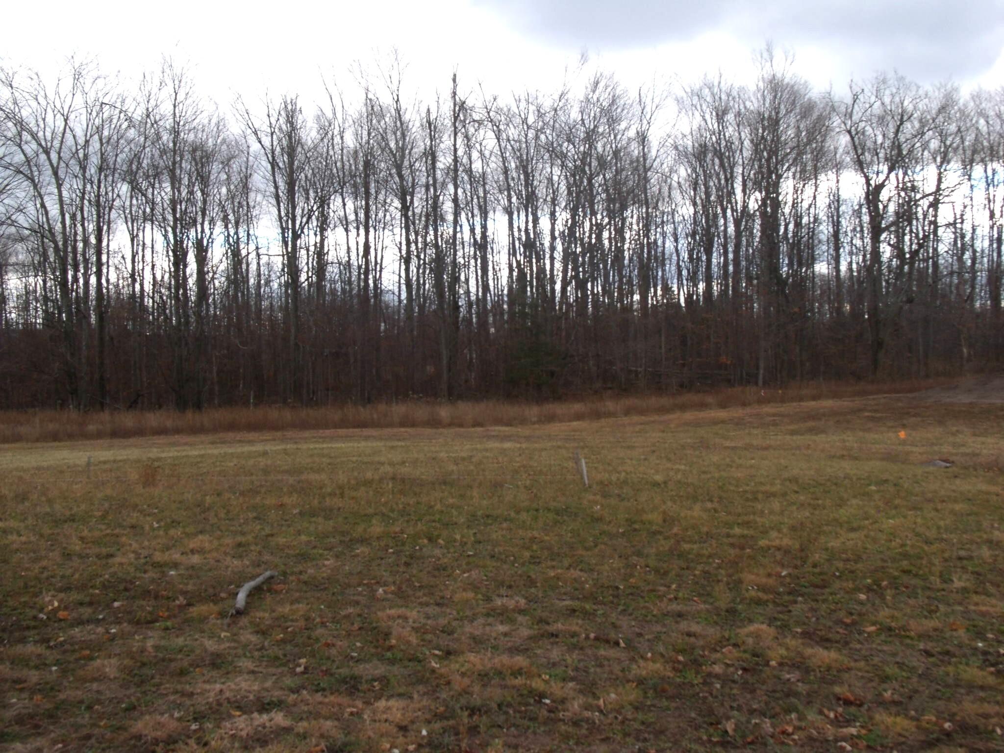 2327 Mcmichael Road Alanson, MI 49706 - Photo 6 of 14 GEDC3949