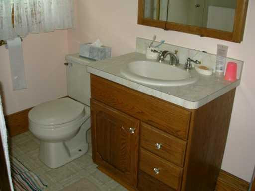 17303 North Ely Road Manchester, MI 48158 - Photo 6 of 8 Photo 6