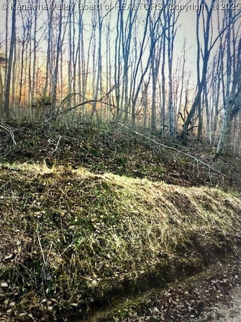 0 Utah Hollow Road Charleston, WV 25312 - Photo 30 of 39 Gallery Image 30