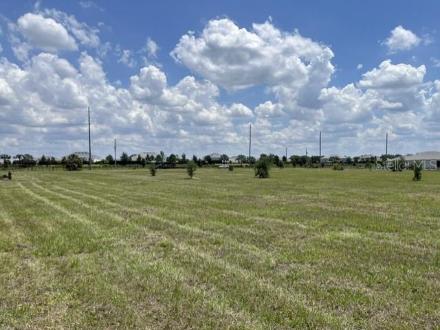 15202 Patterson Road Odessa, FL 33556 - Photo 1 of 2