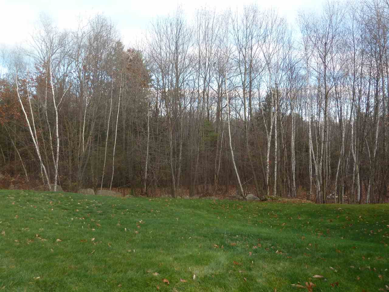 31 Josiah Bartlett Road, Unit 31 Amherst, NH 03031 - Photo 24 of 27