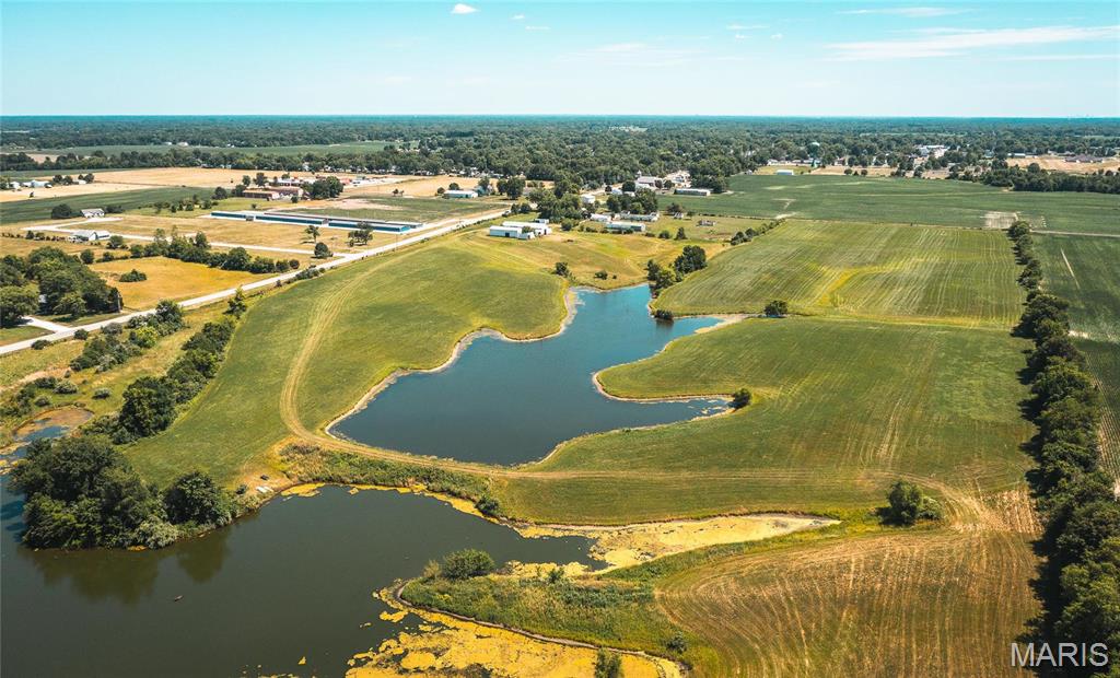 0 West City Limits Road Brighton, IL 62012 - Photo 11 of 29