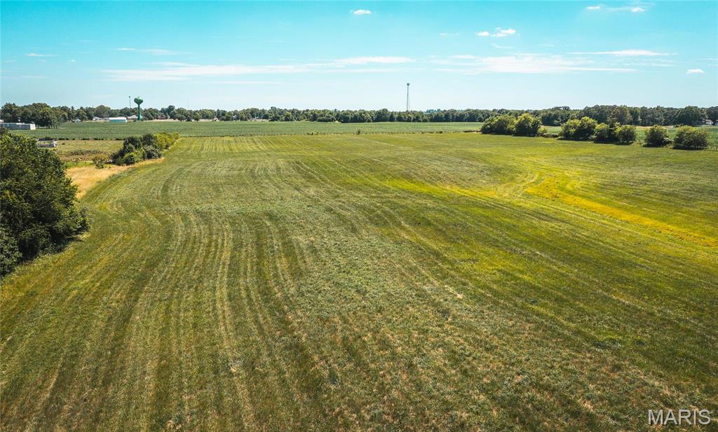 0 West City Limits Road Brighton, IL 62012 - Photo 13 of 29