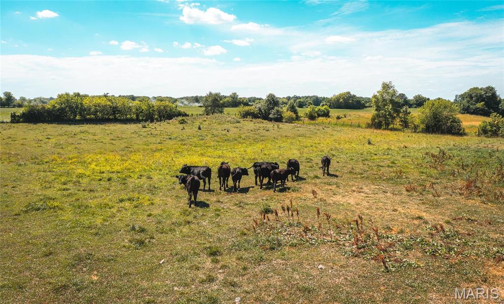0 West City Limits Road Brighton, IL 62012 - Photo 24 of 29