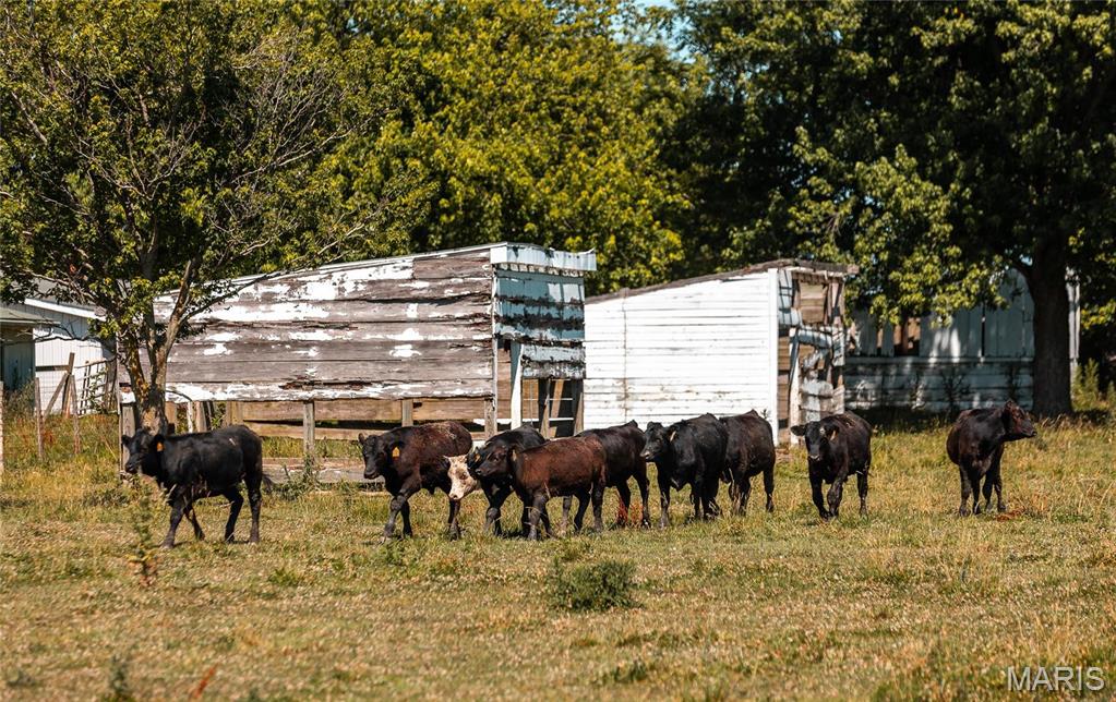 0 West City Limits Road Brighton, IL 62012 - Photo 26 of 29