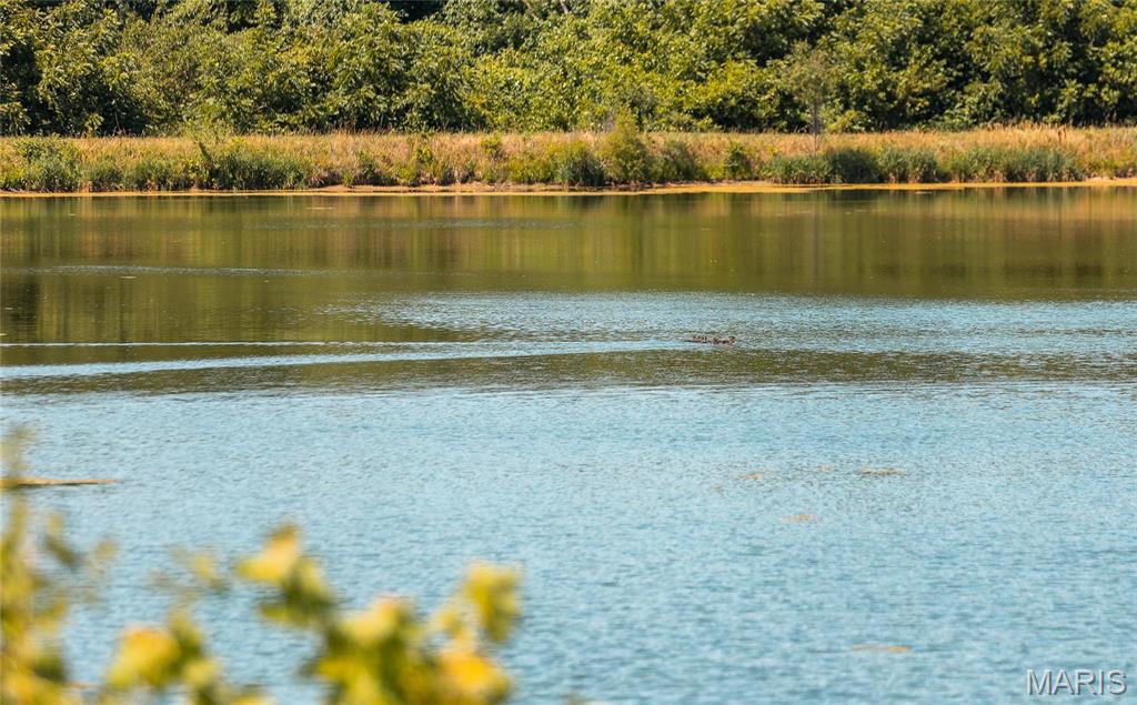 0 West City Limits Road Brighton, IL 62012 - Photo 28 of 29