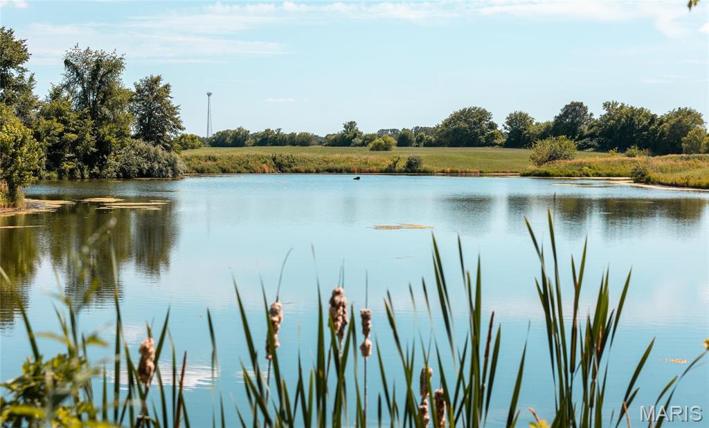 0 West City Limits Road Brighton, IL 62012 - Photo 29 of 29