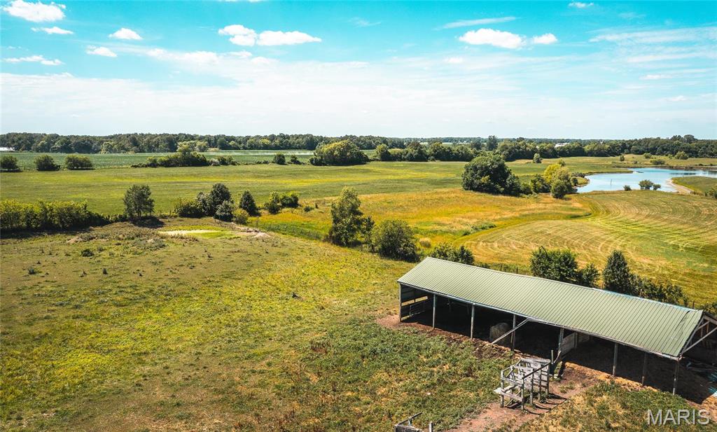 0 West City Limits Road Brighton, IL 62012 - Photo 3 of 29